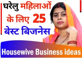 25 business ideas for housewive in hindi