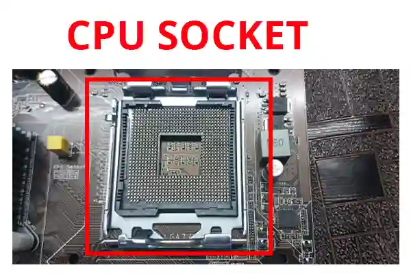 CPU Socket in Hindi