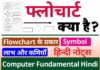फ्लोचार्ट क्या हैं? परिभाषा और उदाहरण ( हिन्दी नोट्स) – What is Flowchart in Hindi what is flowchart in hindi