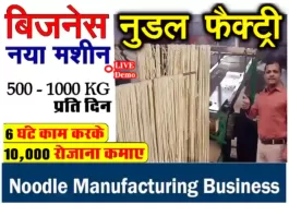 noodle-manufacturing-business-in-india