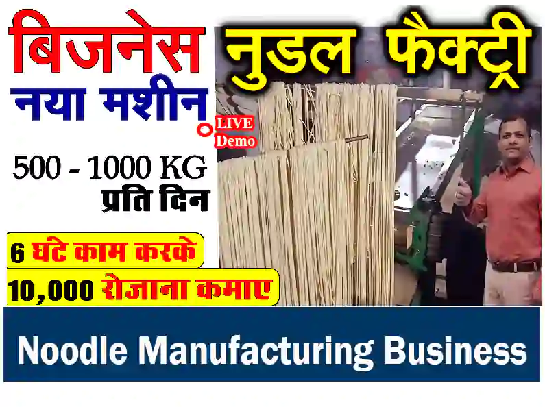 noodles business plan in hindi