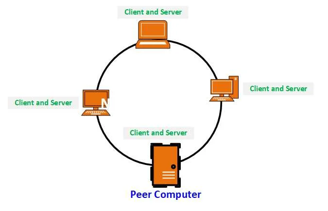 Computer Network क्या है और इसके प्रकार (हिन्दी नोट्स ) | Computer Network in Hindi 9 what is peer computer in hindi