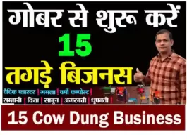 top-15-cow-dung-business-ideas-in-india